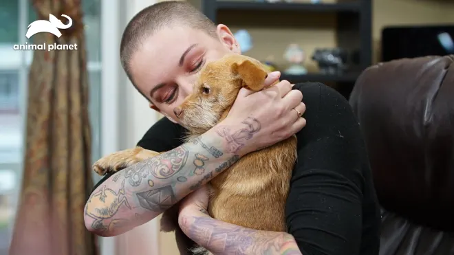 Amanda - Ein Herz für Hunde