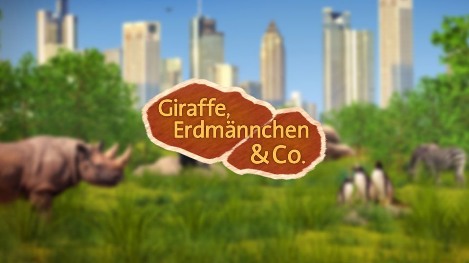 Giraffe, Erdmännchen & Co. (35)