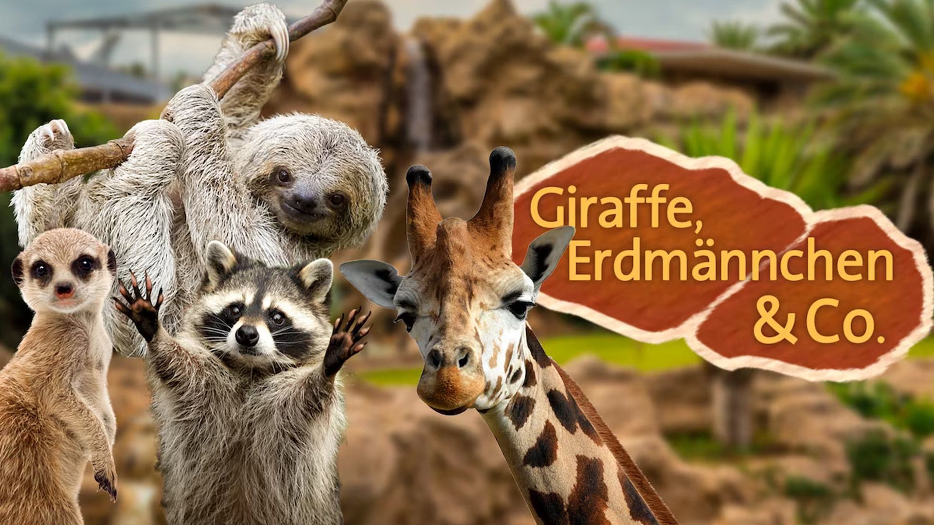 Giraffe, Erdmännchen & Co. (51/6)