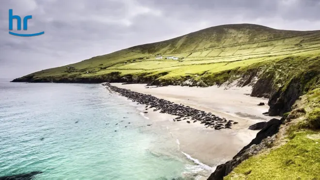 Wildes Irland - Die grüne Insel