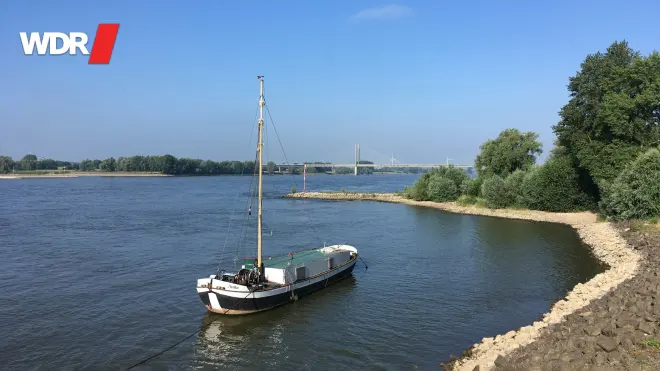 Unsere Flüsse - Der Rhein