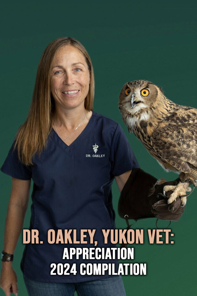 Dr. Oakley, Yukon Vet: Appreciation 2024 Compilation