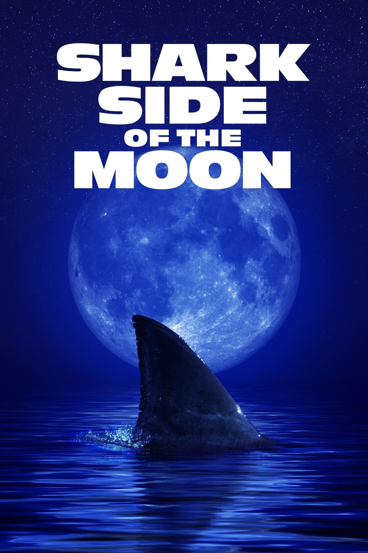 Shark Side of the Moon