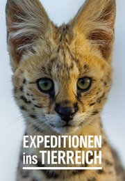 Expeditionen ins Tierreich