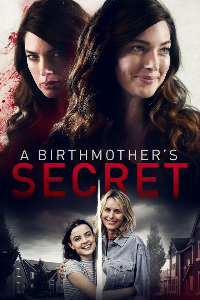 A Birthmother's Secret