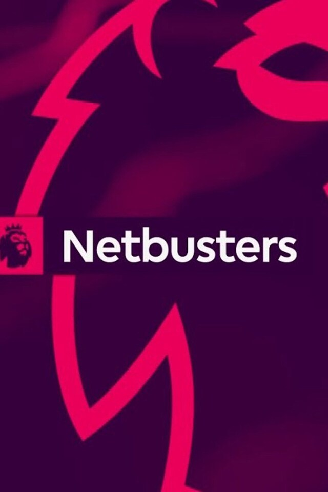 Netbusters