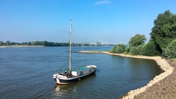 Unsere Flüsse - Der Rhein - Fischer, Winzer, Wasserbüffel