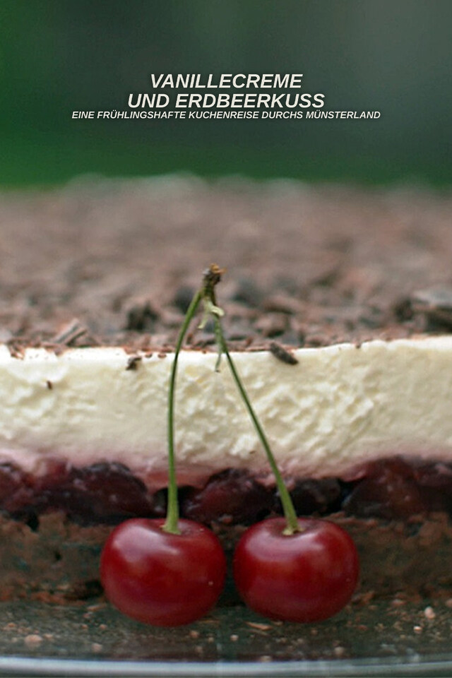 Vanillecreme und Erdbeerkuss - Eine frühlingshafte Kuchenreise durchs Münsterland