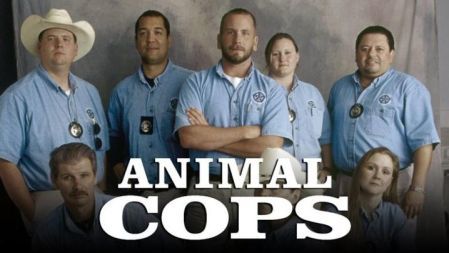 Animal Cops Houston (Series 17): Breathe (Episode 5)