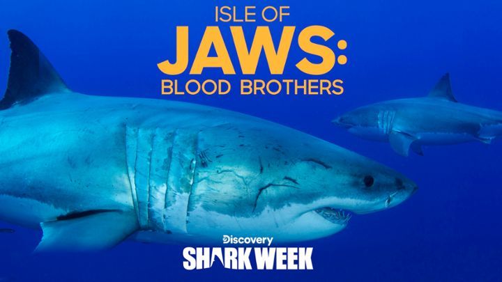 Isle Of Jaws: Blood Brothers