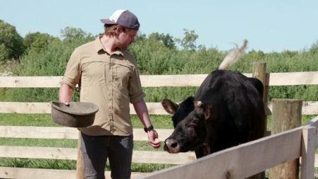 Saved By The Barn (Series 1): Hog Chase Rescue (Episode 11)