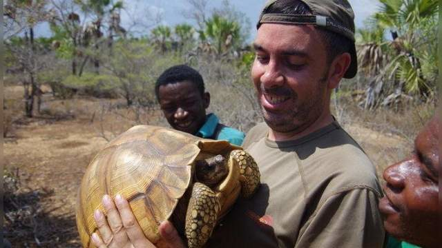 The Ploushare Tortoise Of Madagascar (Madagascar, le trafic des tortues angonoka), Nature, France, Germany, 2014