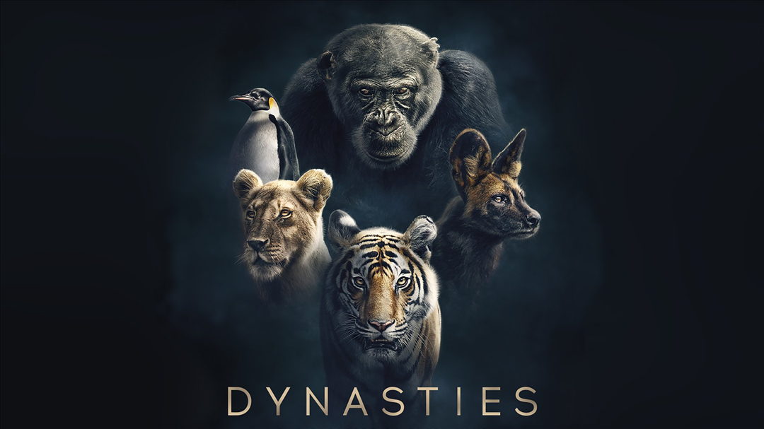 Eläinmaailman dynastiat / Dynasties