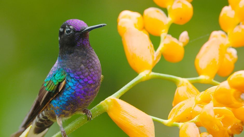 Ecuador, Hotspot der Artenvielfalt (1/2)