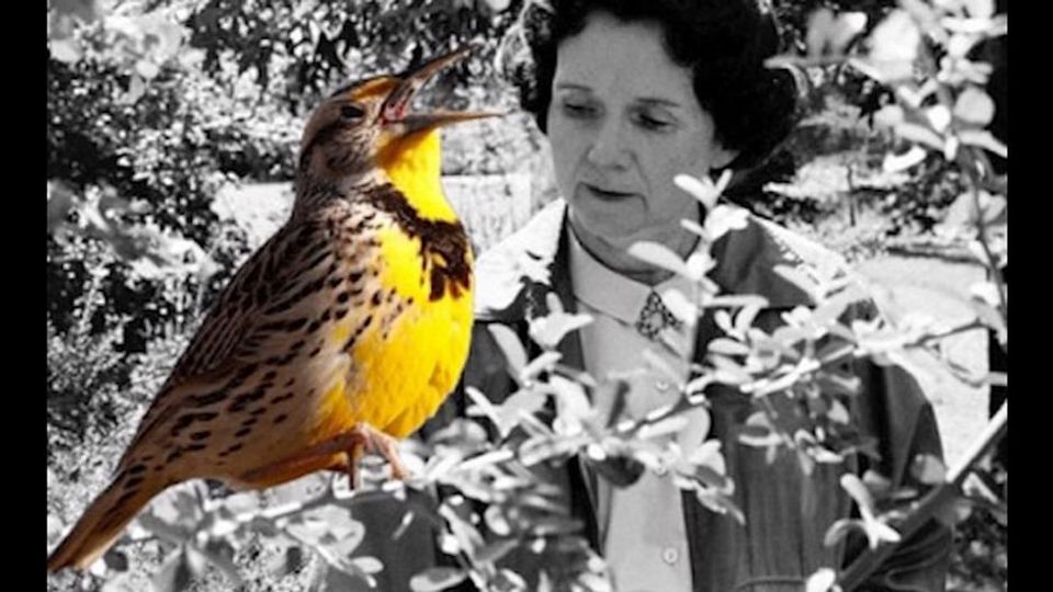 Rachel Carson - Die Mutter der Ökologie