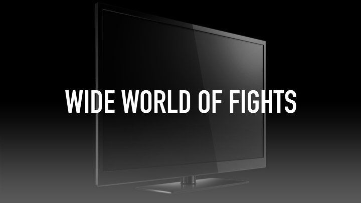 Wide World of Fights