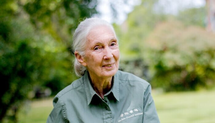 Rescued Chimpanzees of the Congo with Jane Goodall (Rescued Chimpanzees of the Congo with Jane Goodall), Nature, United Kingdom, 2022