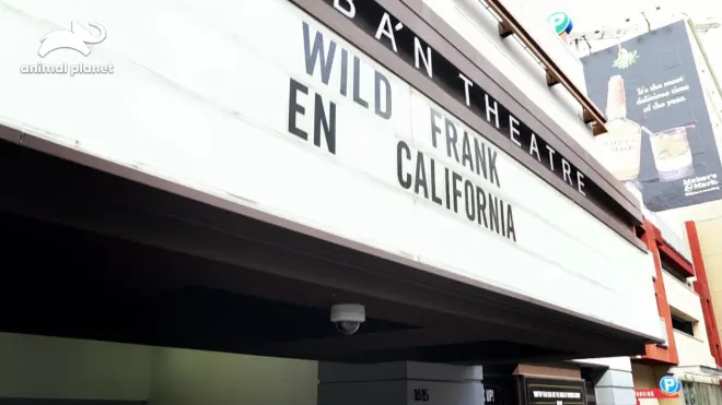 Wild Frank - Abenteuer in Kalifornien