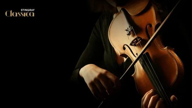 Bach - 2. Partita für Violin (BWV 1004)