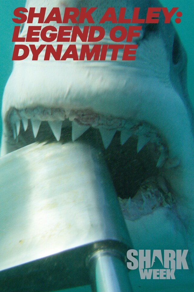 Shark Alley: Legend of Dynamite