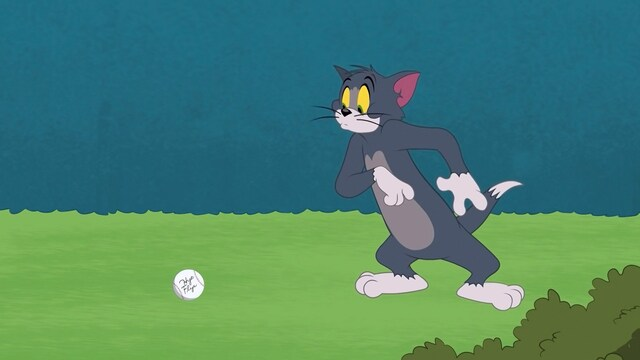 Tom en Jerry Show