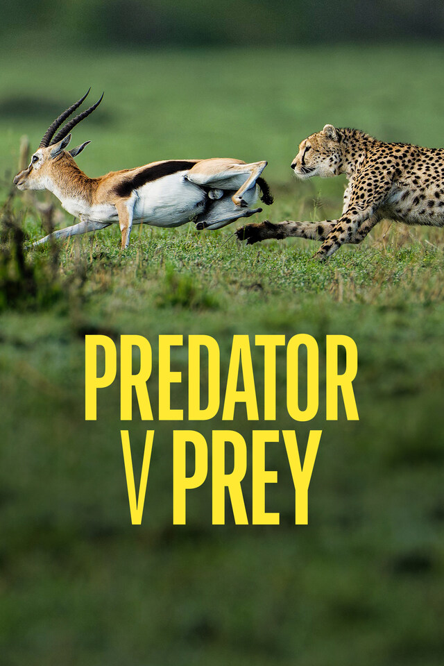 Predator v Prey