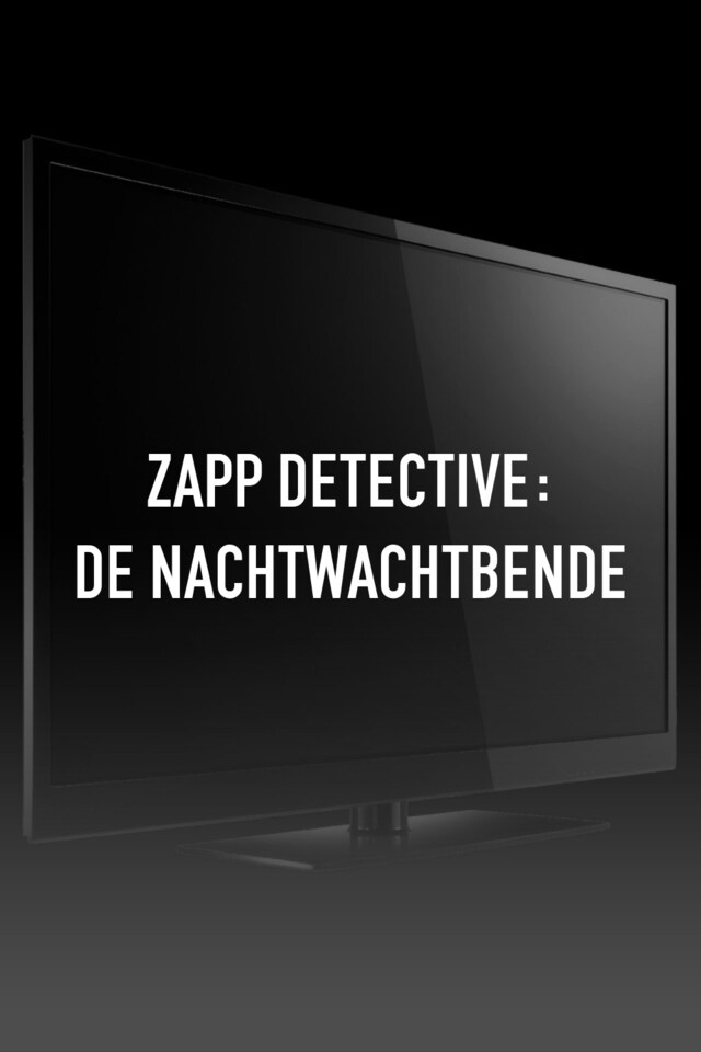 Zapp detective: de nachtwachtbende