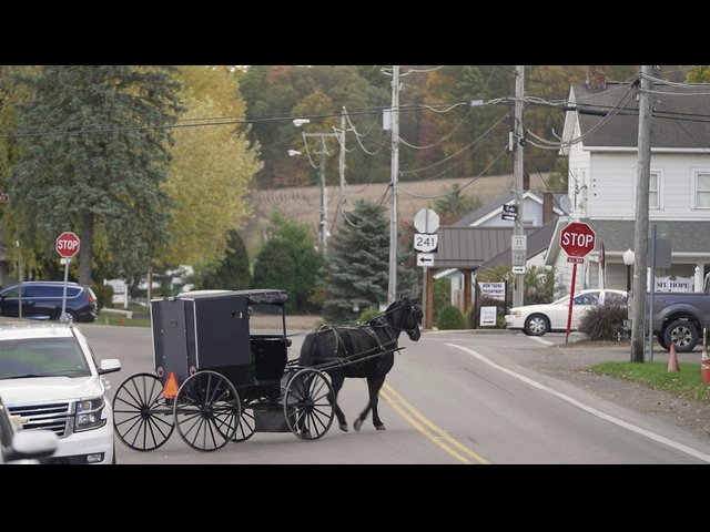 Amishfolkets verden