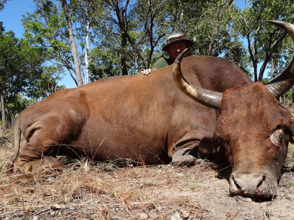 Австралийские ловцы быков. 8-я серия (12+)
