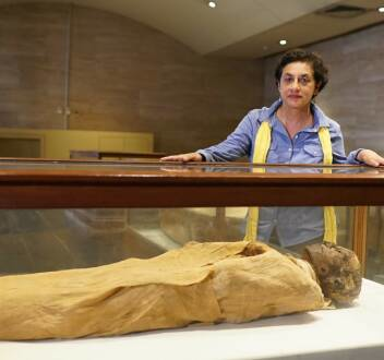 Momias al descubierto : El rastro de las momias asesinadas