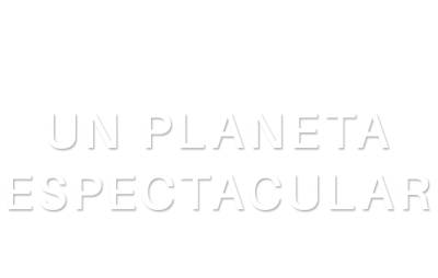 Documenta2 Un Planeta Espectacular