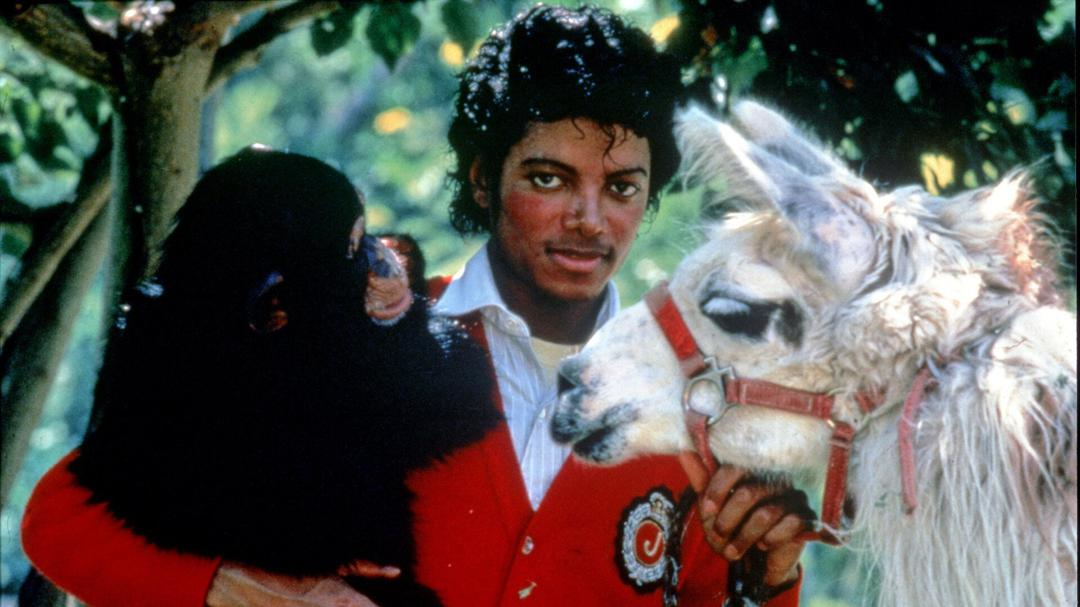 Vad hände med Michael Jacksons vilda djur?