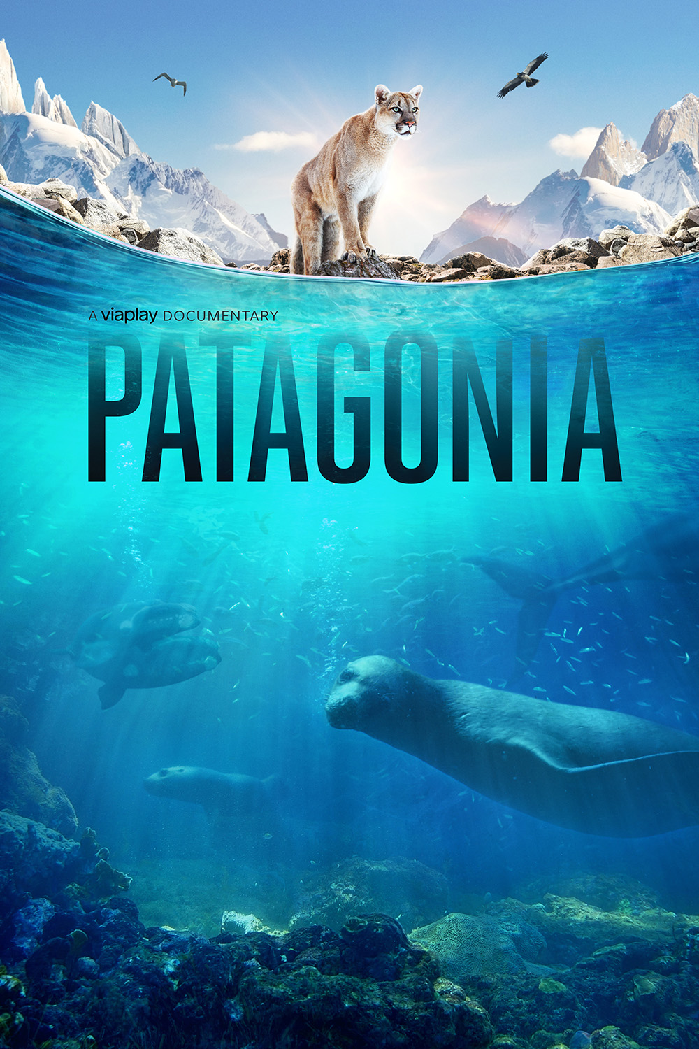 Patagonia: Life on the Edge of the World