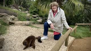 The Cotswolds with Pam Ayres