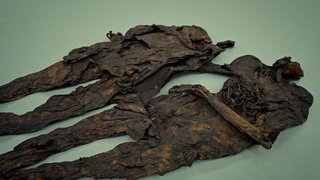 Ancient Bodies: Danish Mummy