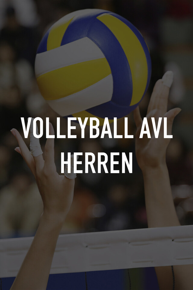 Volleyball AVL Herren