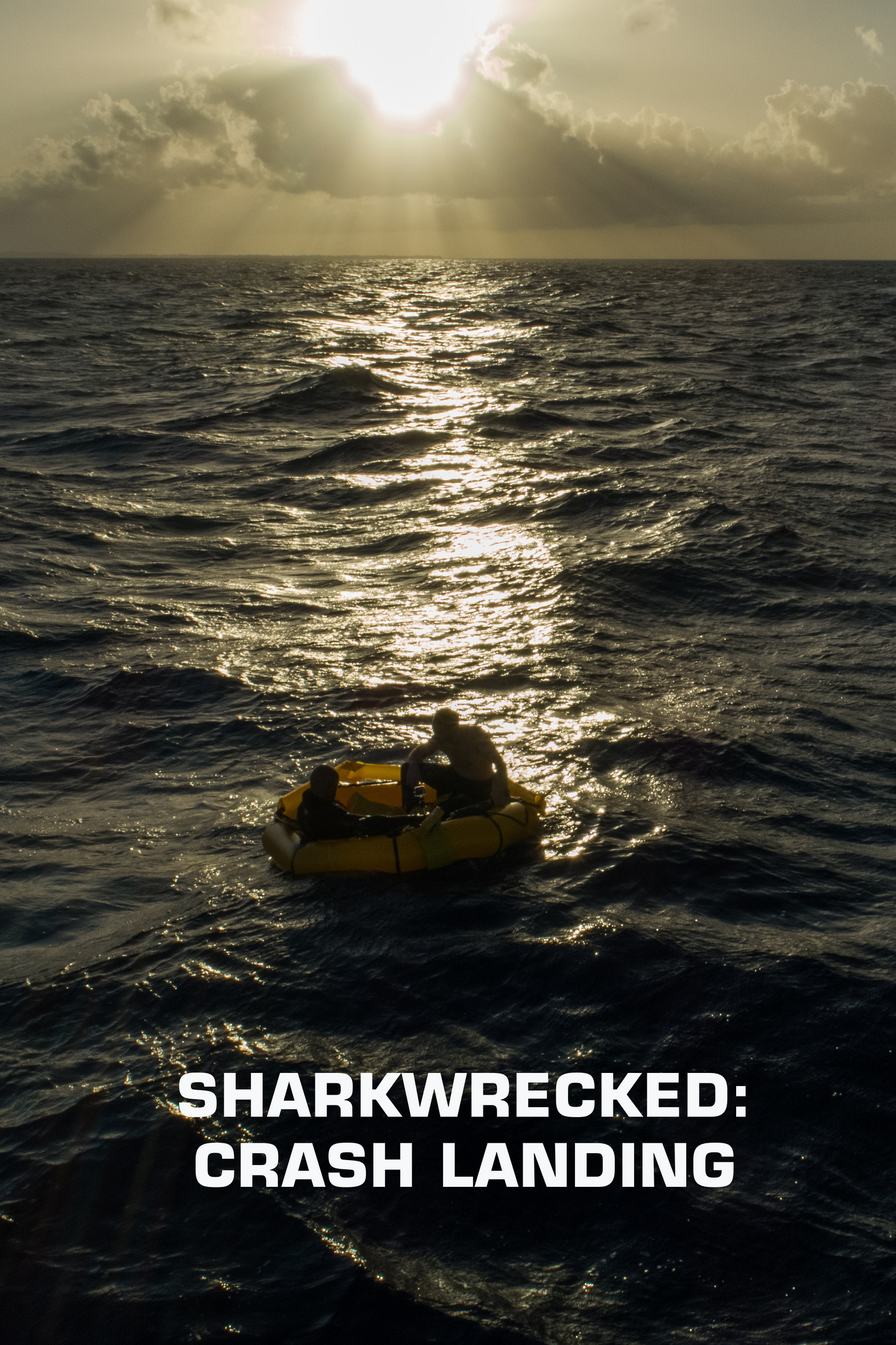 Sharkwrecked: Crash Landing