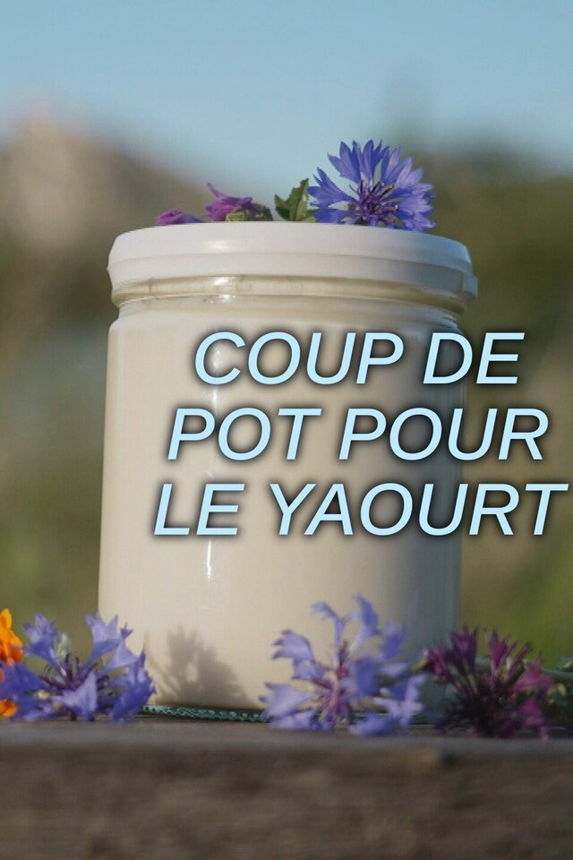 Coup de pot pour le yaourt