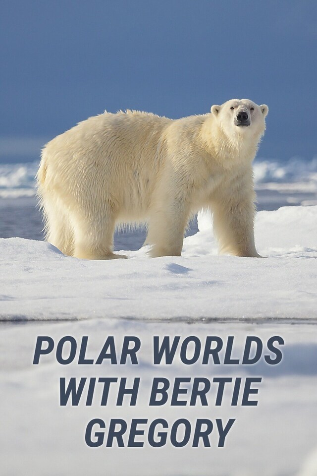 Polar Worlds With Bertie Gregory
