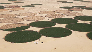 Alžir budućnosti: Od peska do plodne njive