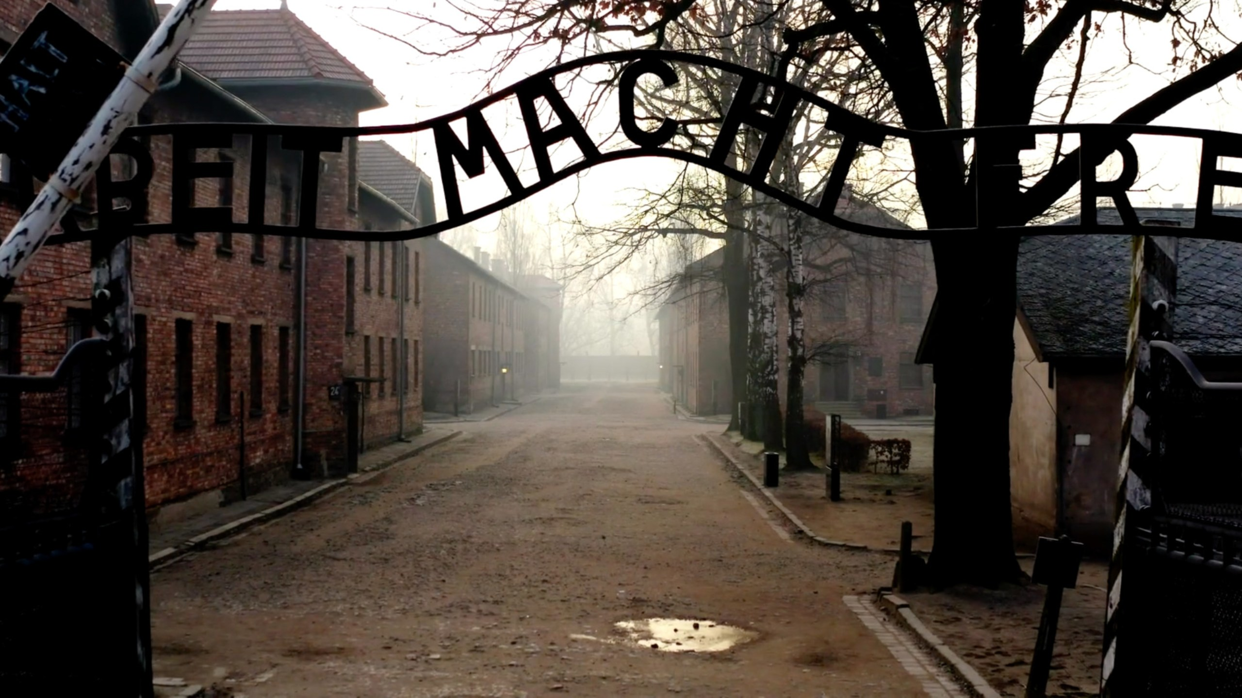 Auschwitz: Set indefra