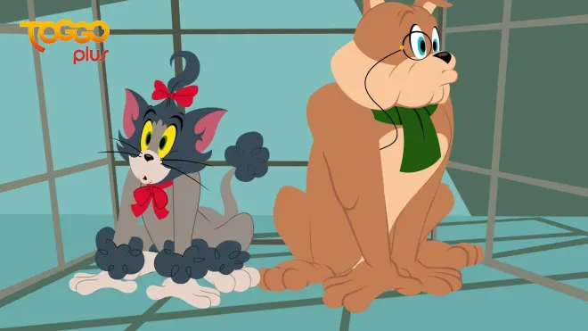 TOGGO plus - Die Tom und Jerry Show - 25.09.2019 (ср) 19:10 CEST