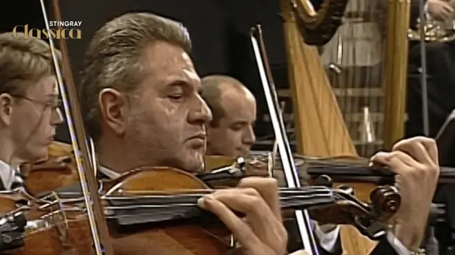 Waldbuhne 1999: A Romantic Opera Night