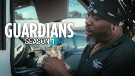 Guardians of Rescue (Series 1): Puppy Flipper Sting (Episode 1)