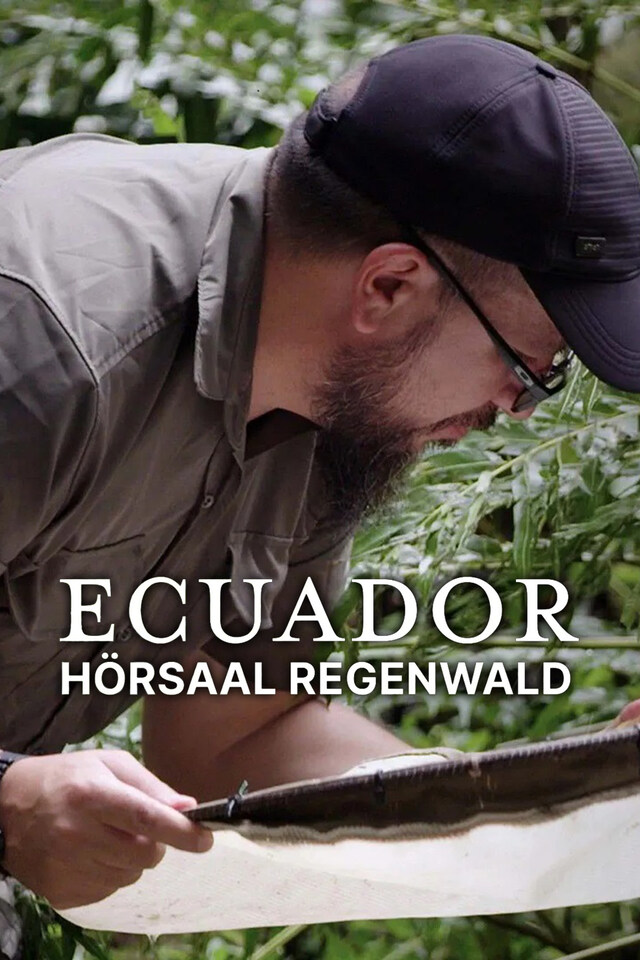 Ecuador - Hörsaal Regenwald