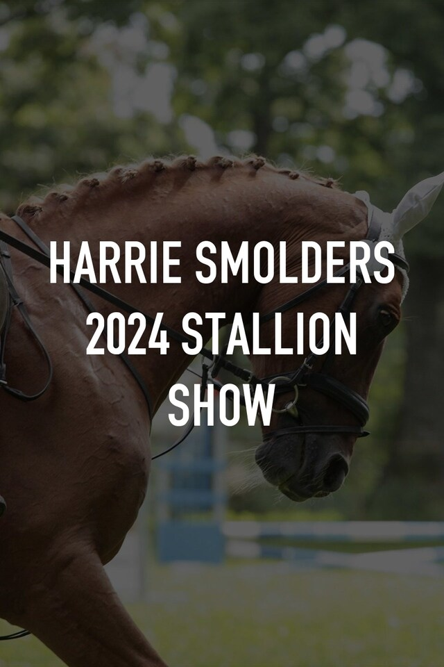 Harrie Smolders 2024 Stallion Show