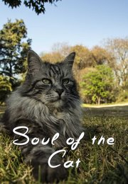 Soul of the Cat