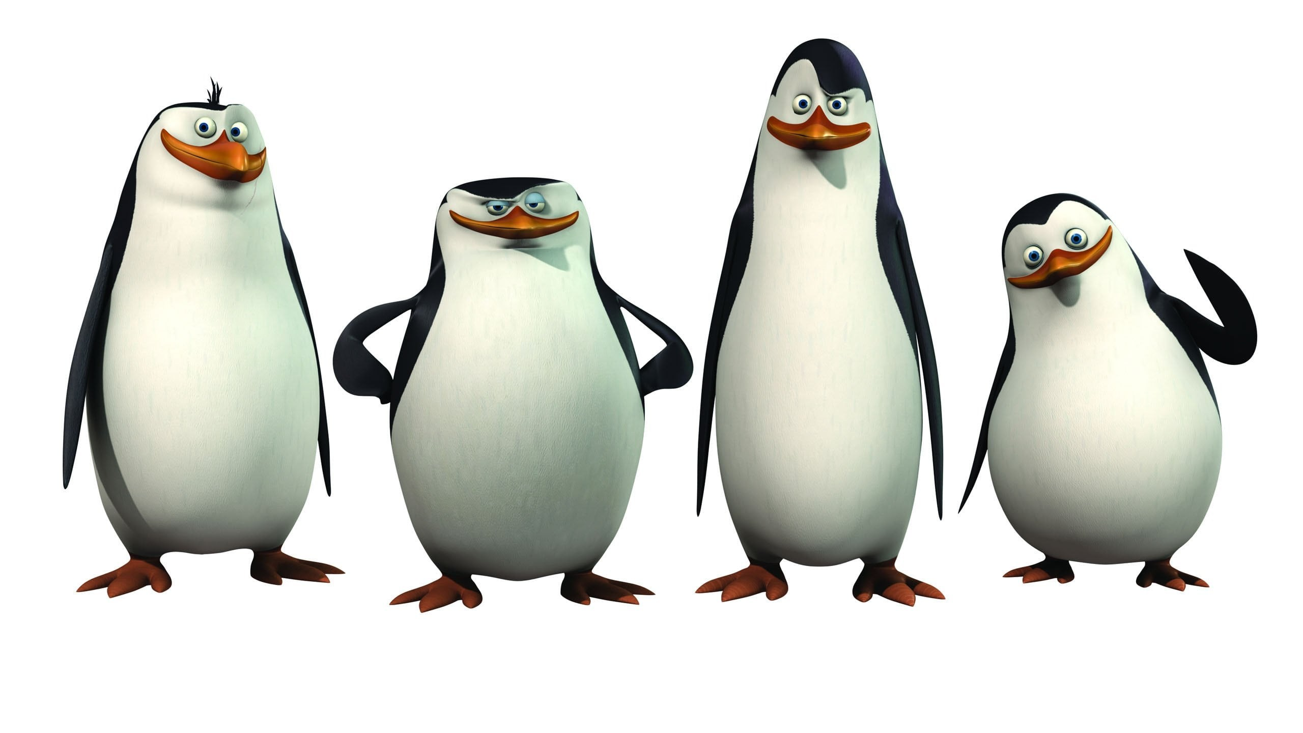Madagaskar Pingvinene