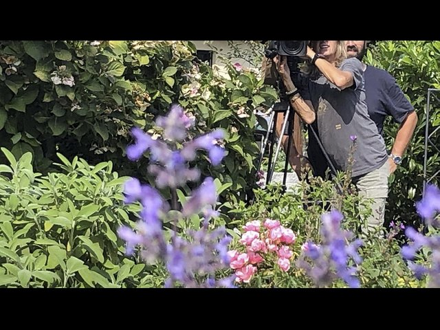 Landet blomstrer - naturen i Salzburgs haver