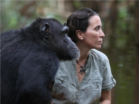Jane Goodall: A Esperança para os Chimpanzés